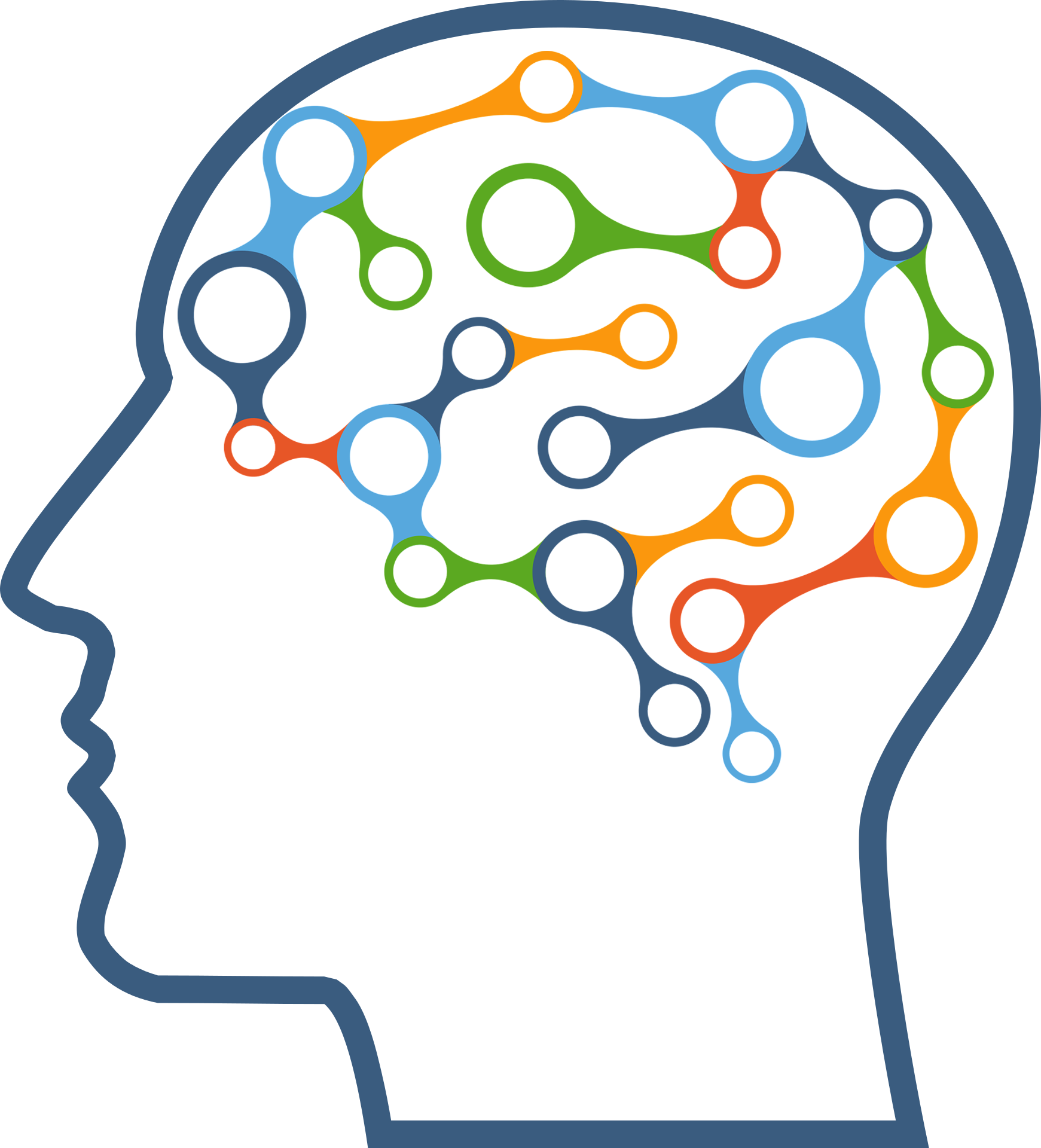 cerveau