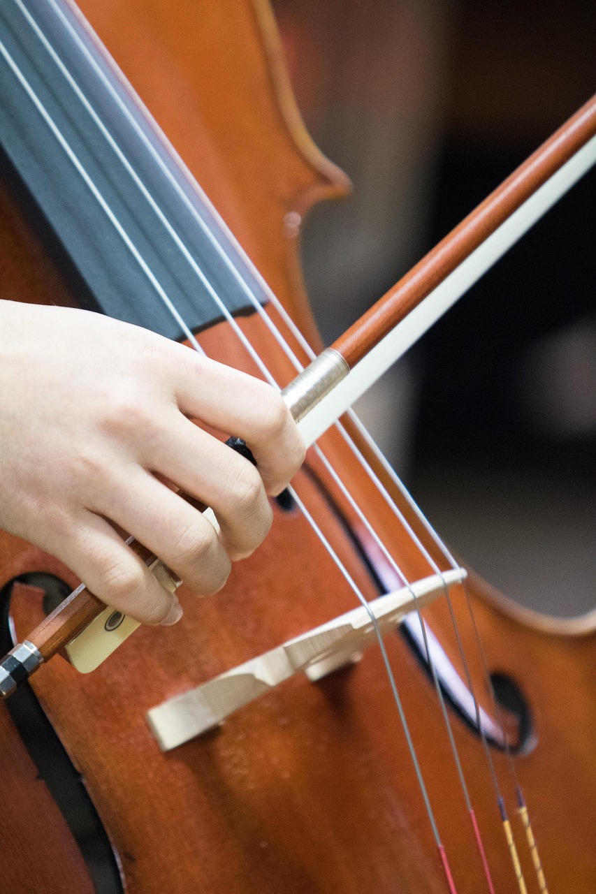 violon