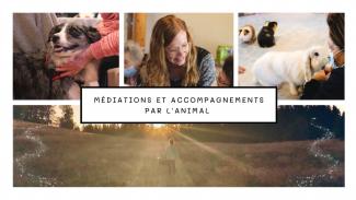 mediation animale