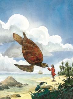 illustration Mathieu Bertrand. Dessin tortue géante