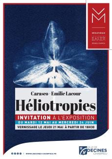 cyanotype fleur bleue