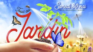 main papillon