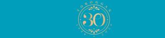picto 30 ans du Toboggan