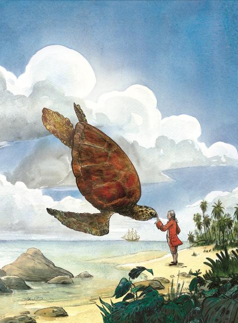 illustration Mathieu Bertrand. Dessin tortue géante